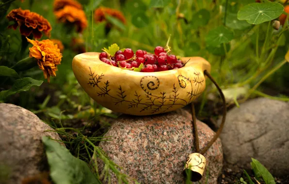 Зелень, трава, цветы, природа, ягоды, камни, сад, миска