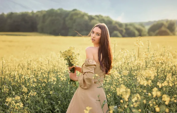Поле, лето, девушка, цветы, природа, поза, волосы, платье