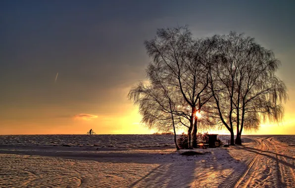 Картинка зима, дорога, солнце, лучи, снег, деревья, горизонт, велосипедист