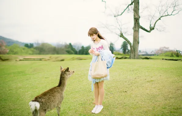 Asian, Model, pretty, Woman, Outdoor, Deer