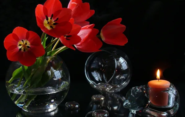 Кошка, цветы, камни, бокал, свеча, букет, тюльпаны, ваза
