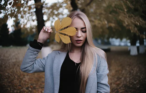 Картинка осень, деревья, поза, лист, волосы, Девушка, руки, блондинка