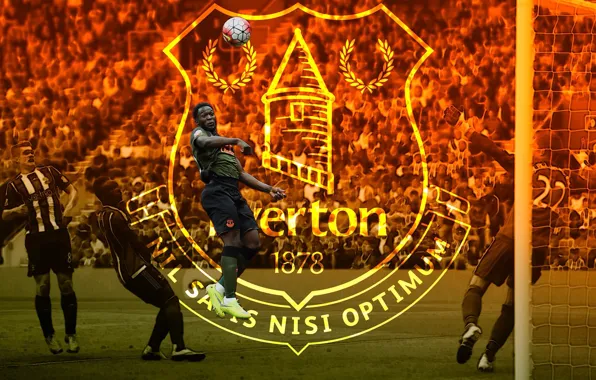 Wallpaper, sport, football, player, Everton FC, Romelu Lukaku