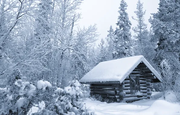Картинка зима, лес, снег, деревья, избушка, хижина, Финляндия