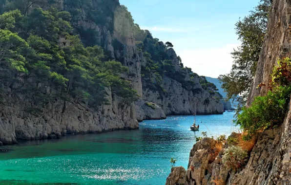 Море, деревья, скалы, берег, лодка, Франция, солнечно, Provence
