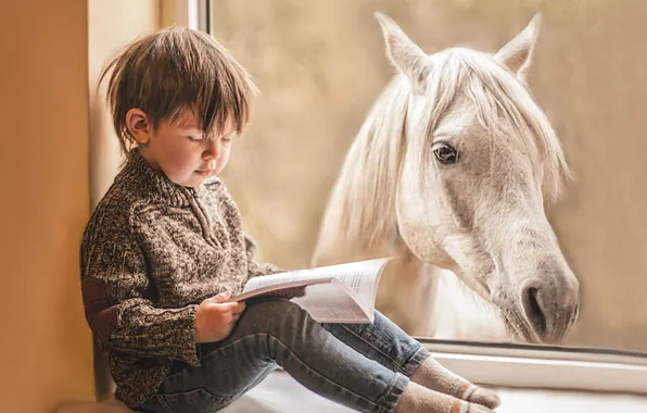 Картинка конь, мальчик, окно, книга