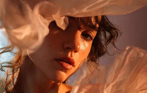 Картинка girl, model, face, brunette, portrait, closeup, veil, Olga Sakharova