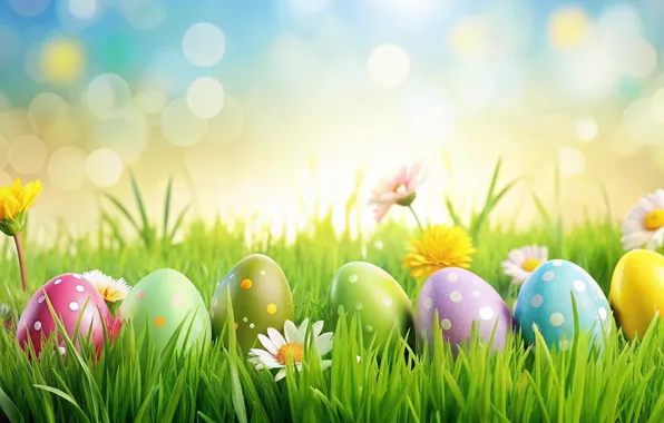 Цветы, яйца, весна, colorful, Пасха, happy, flowers, spring