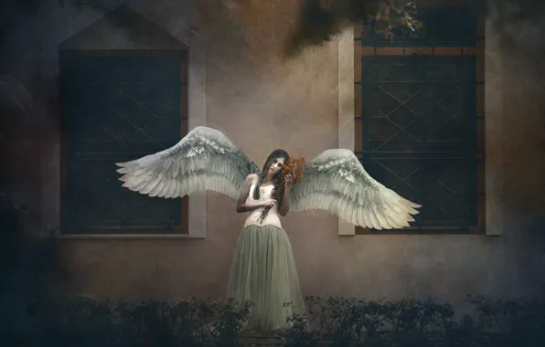 Картинка девушка, крылья, ангел