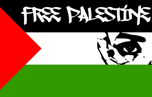 Картинка Флаг, Палестина, часть лица, Free Palestine, Свободу Палестине