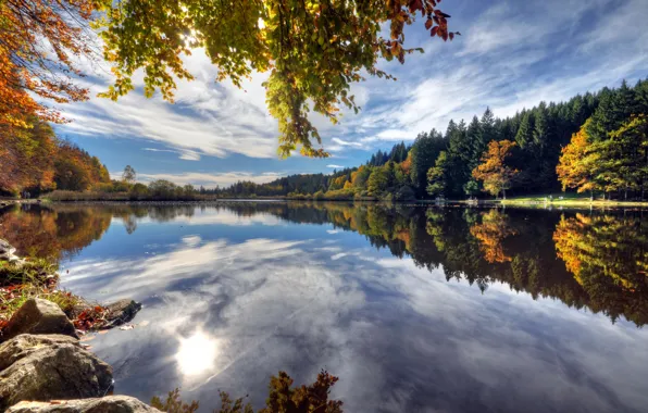 Картинка осень, листья, вода, деревья, ветки, озеро, отражение, камни