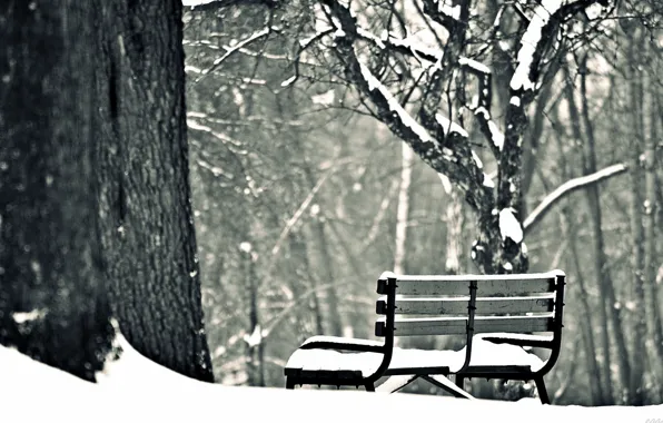 Картинка зима, снег, деревья, скамейка, фон, widescreen, обои, настроения