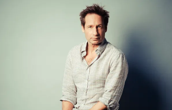 Фон, рубашка, актёр, David Duchovny
