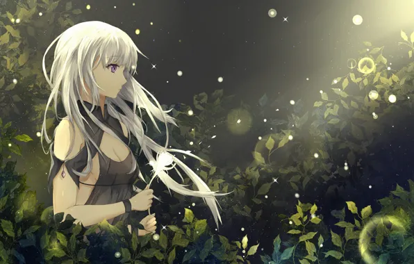 Girl, anime, purple eyes, leaf, konoha, bishojo, japonese