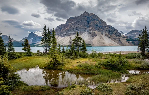 Деревья, горы, озеро, Канада, Альберта, Banff National Park, Alberta, Bow Lake