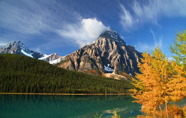 Картинка осень, лес, деревья, горы, озеро, Канада, Альберта, Banff National Park