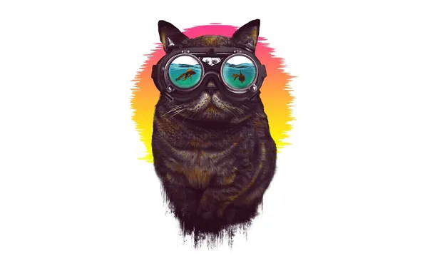 Минимализм, Очки, Кот, Стиль, Арт, Art, Style, Cat