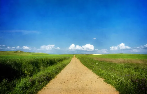 Картинка дорога, лето, небо, трава, облака, солнечно