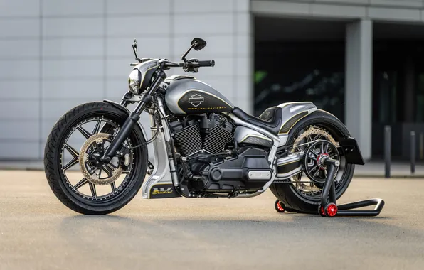 Front, Harley-Davidson, Вид Сбоку, Customized, Softail Breakout, Thunderbike, Steel Horse, Custombikes