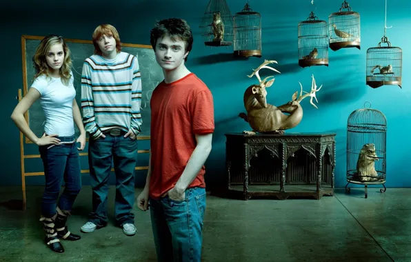 Картинка Hermione Granger, Rupert Grint, Ron Weasley, Руперт Гринт, Гарри Поттер, Дэниэл Рэдклифф, Daniel Radcliffe, Harry …