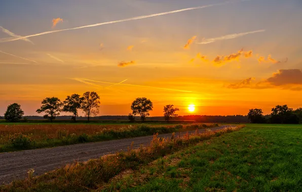 Summer, road, landscape, sunset, three, goldenhour