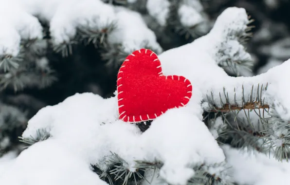 Картинка зима, снег, любовь, сердце, елка, red, love, heart
