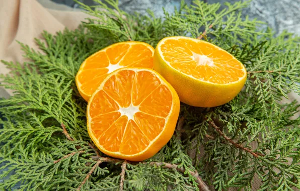 Апельсины, Новый год, хвоя, мешковина, разрезанные пополам