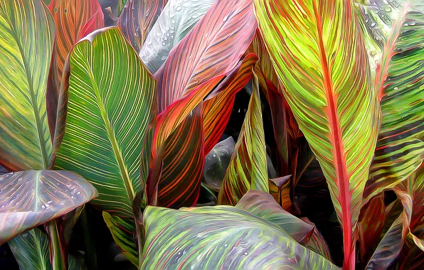 Листья, макро, рендеринг, растение