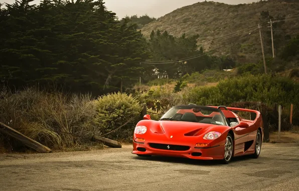 Картинка Ferrari, Road, F50