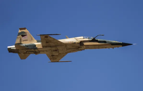 Истребитель, Northrop, многоцелевой, F-5E Tiger II