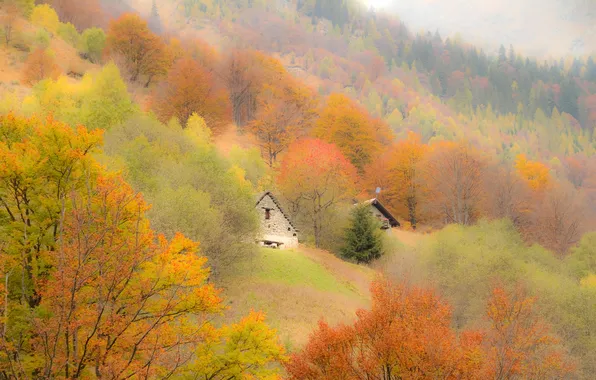 Картинка осень, деревья, горы, дом, склон