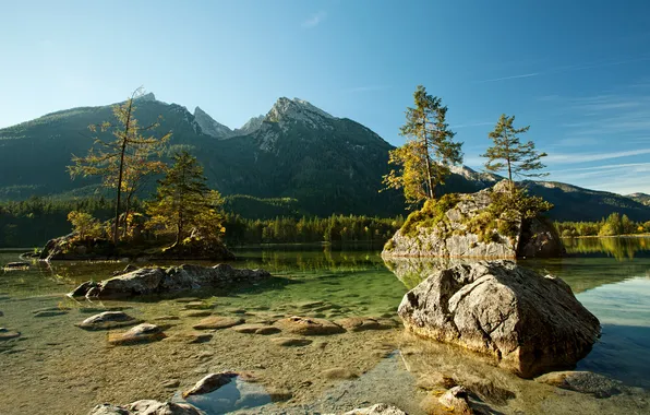 Картинка зелень, вода, спокойствие