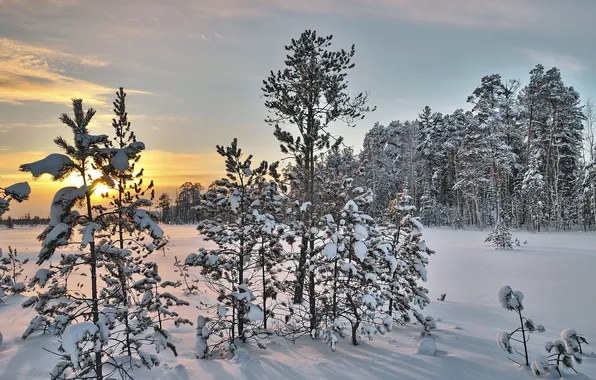 Зима, снег, пейзаж