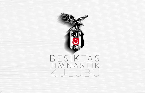 Emblem, football, turkey, beşiktaş