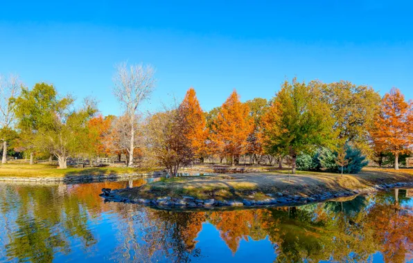 Картинка листья, деревья, пруд, США, Техас, Clark Gardens, ботанический парк, багрянец осень