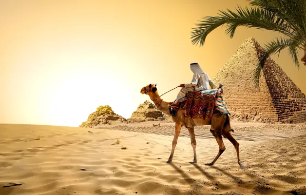 Картинка песок, небо, солнце, пальма, камни, пустыня, жара, верблюд