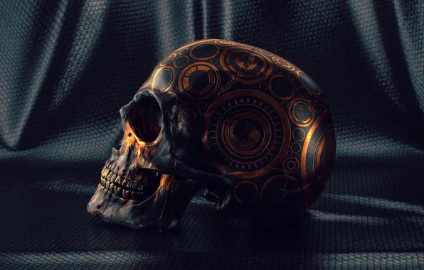 Узоры, череп, зубы, материал, Skull Study