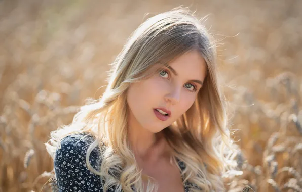 Взгляд, девушка, лицо, модель