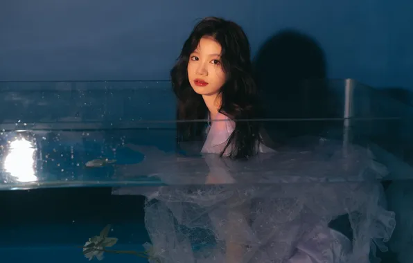 Aquarium, Beautiful, Asian, Model, Flower, Rose, Water, Woman