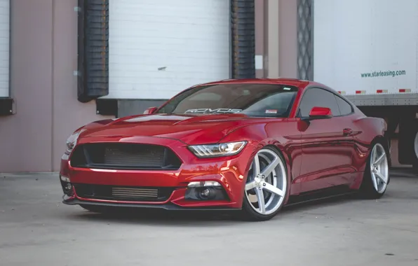 Mustang, red, ford, 2015