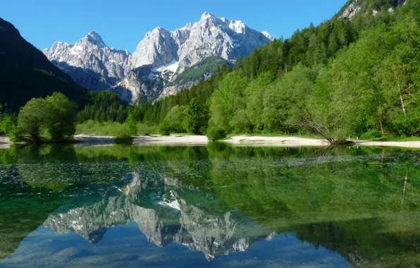 Картинка лес, горы, природа, озеро