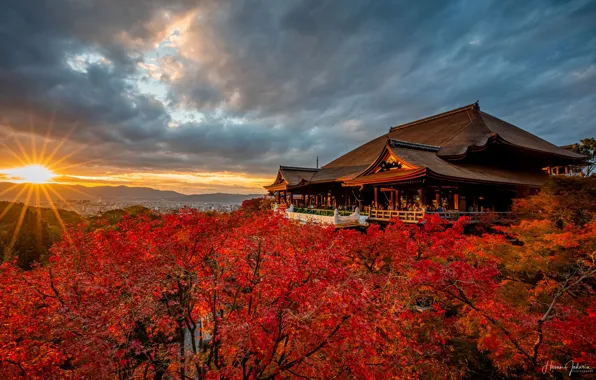Япония, Japan, Kyoto, Kiyomizu-dera Temple, осенние деревья