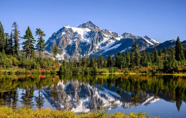 Лес, деревья, горы, озеро, отражение, Гора Шуксан, Каскадные горы, Washington State