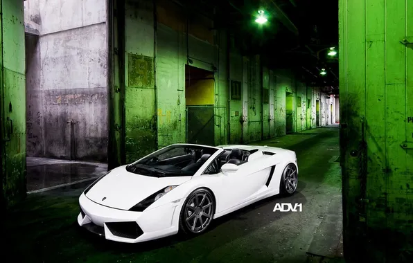 Gallardo, lamborghini, спайдер, spyder, ламборгини, галлардо