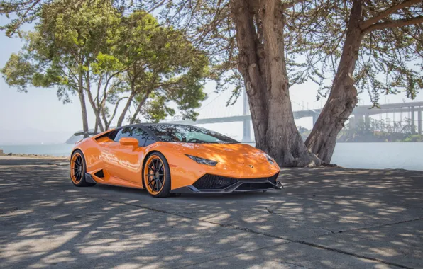 Wheels, lamborghini, sea, bridge, tuning, power, orange, face