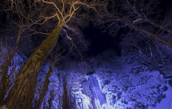 Картинка зима, ночь, река, дерево, водопад