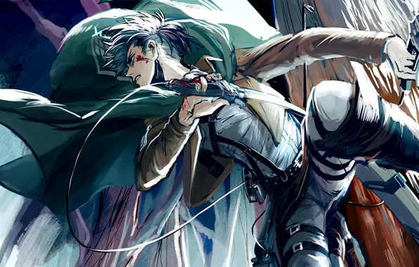 Парень, Атака Титанов, Shingeki No Kyojin, Леви, капрал