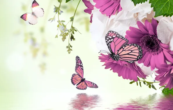 Вода, бабочки, отражение, весна, цветение, water, blossom, flowers