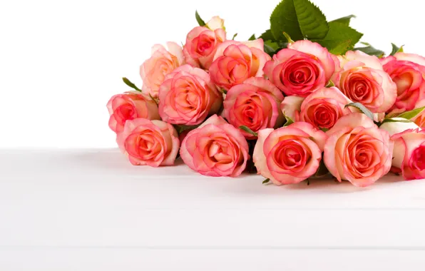 Белый, фон, розы, букет, бутоны, roses, bouguet
