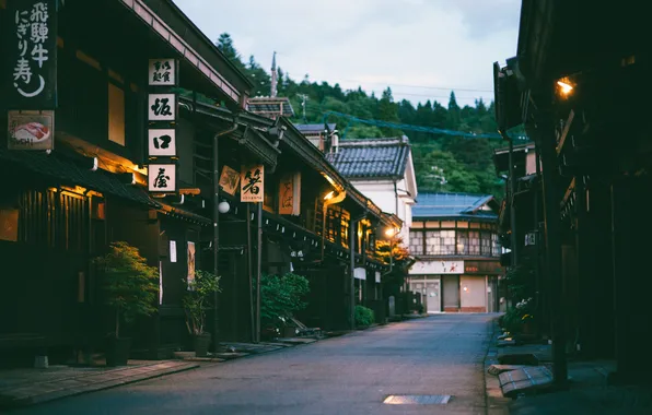 Картинка street, Japan, sigh, signs, lights